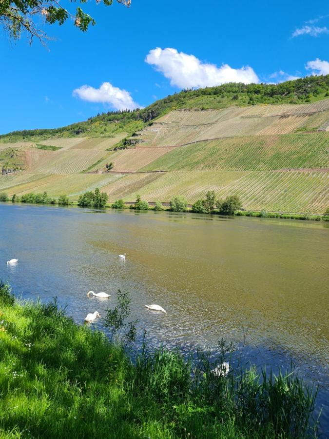 Ferienhaus Birute Bernkastel-Kues Exteriér fotografie